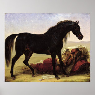 An Arabian Horse Poster