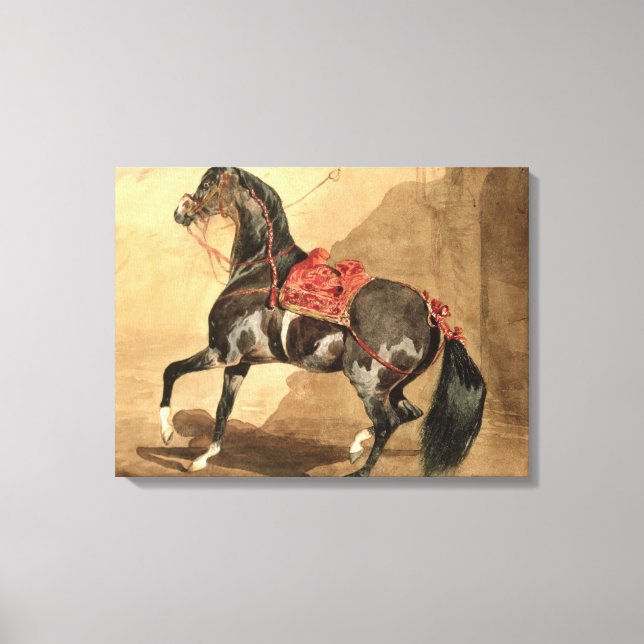 An Arabian Horse (w/c laid down on paper) Canvas Print (Front)