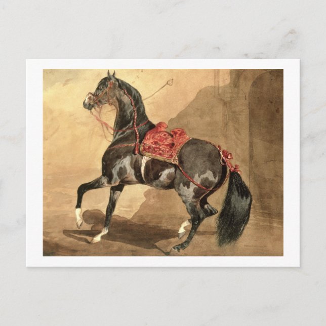 An Arabian Horse (w/c laid down on paper) Postcard (Front)