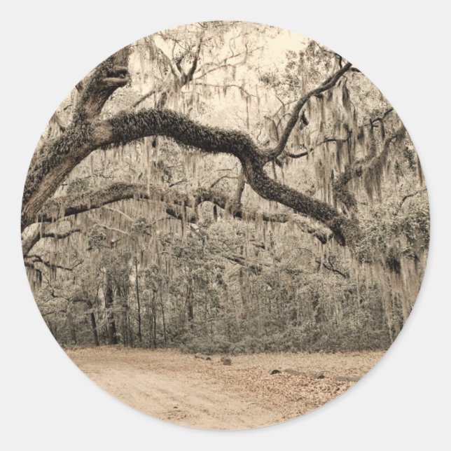 An Arch of Oakes Classic Round Sticker (Front)