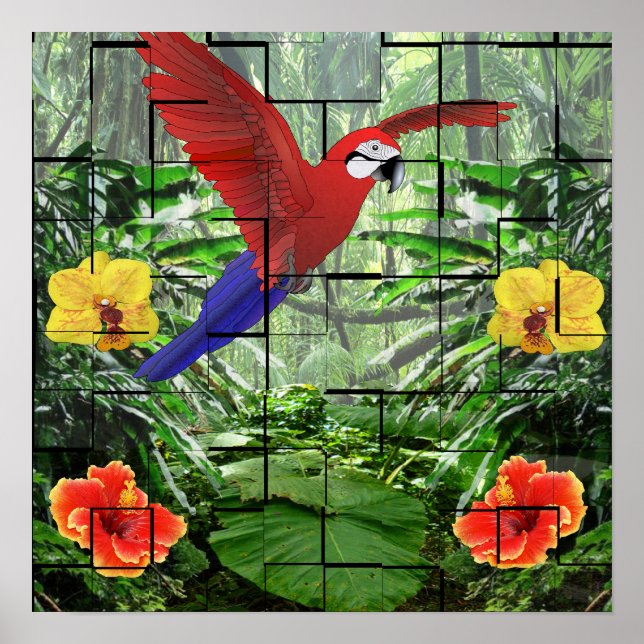 An Artsy Tropical Rainforest Scene Poster (Front)