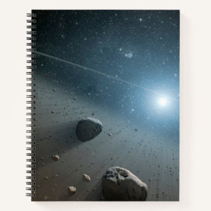 An Asteroid Belt Around The Bright Star Vega. Notebook