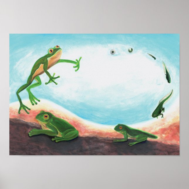 An astonishing life cycle of a frog   Poster (Front)
