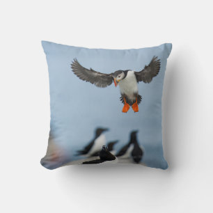 AN ATLANTIC PUFFIN COMING IN TO LAND WITH ITS WING CUSHION