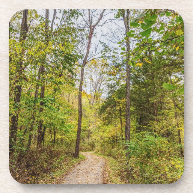 An Autumn Runge Walk Coaster (Front)
