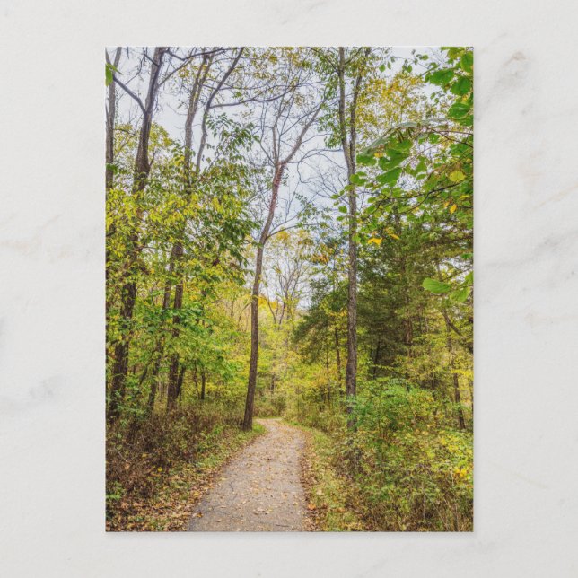 An Autumn Runge Walk Postcard (Front)