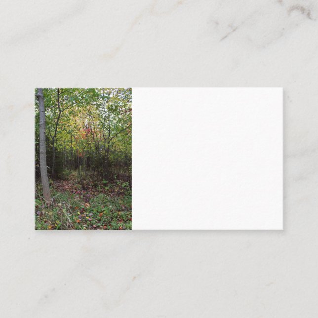 An Autumn Stroll Business Card (Front)