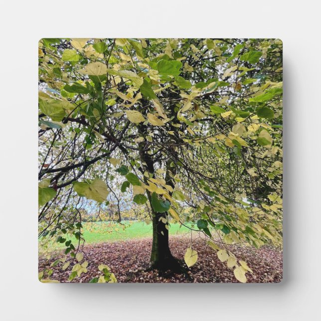 An autumn walk plaque (Front)