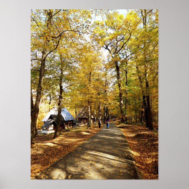 An autumn walk through the park poster (Front)