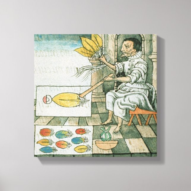 An Aztec feather artisan Canvas Print (Front)