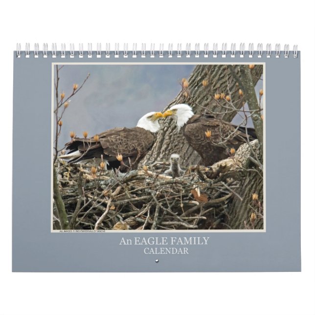 An Eagle Family Calendar (Cover)
