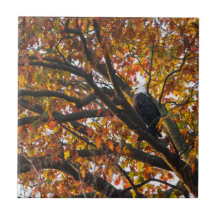 An Eagle in Autumn Tile