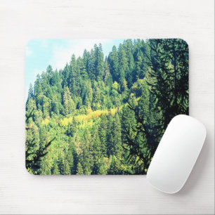 An Eagle in the trees..... Mouse Mat