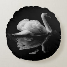 An Elegant White Swan On A Black Background