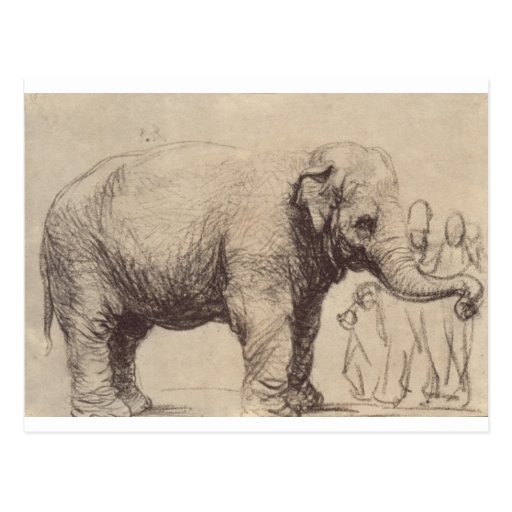 Image of An Elephant by Rembrandt Postcard