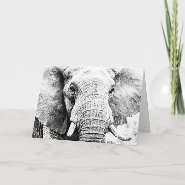 An Elephant Never Forgets -- the perfect thank you Card (Front)