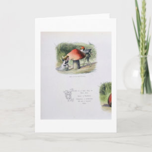 An Elf in Search of a Fairy, illustration from 'In Holiday Card