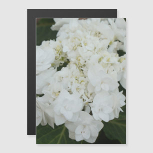 An enchanting wedding gown hydrangea magnetic invitation