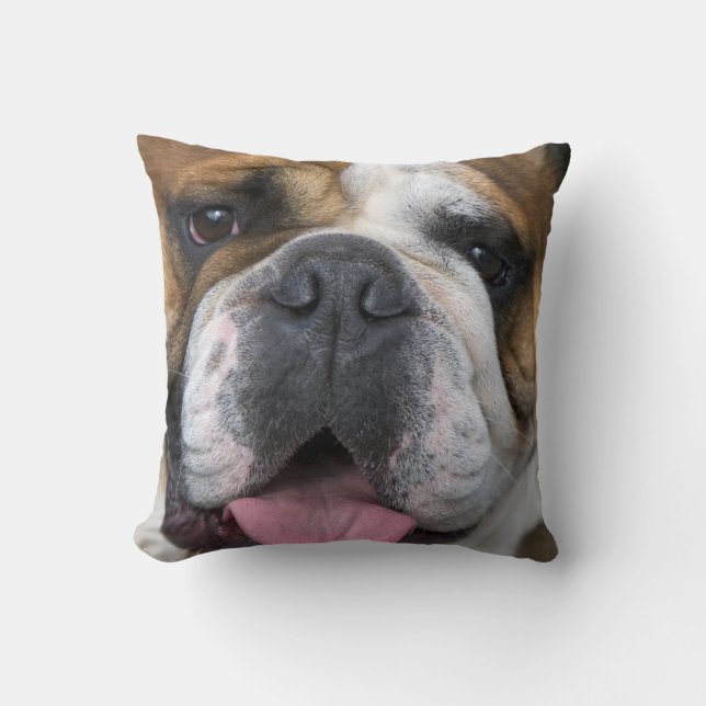 An english bulldog in Belgium. Cushion (Front)