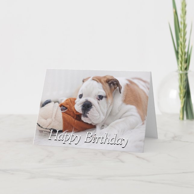 An English Bulldog Puppy Playing With A Bulldog Card (Front)
