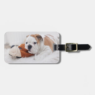 An English Bulldog Puppy Playing With A Bulldog Luggage Tag