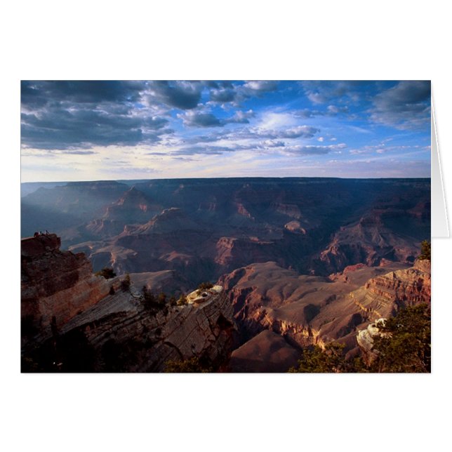 An Enormous Sense (Front Horizontal)