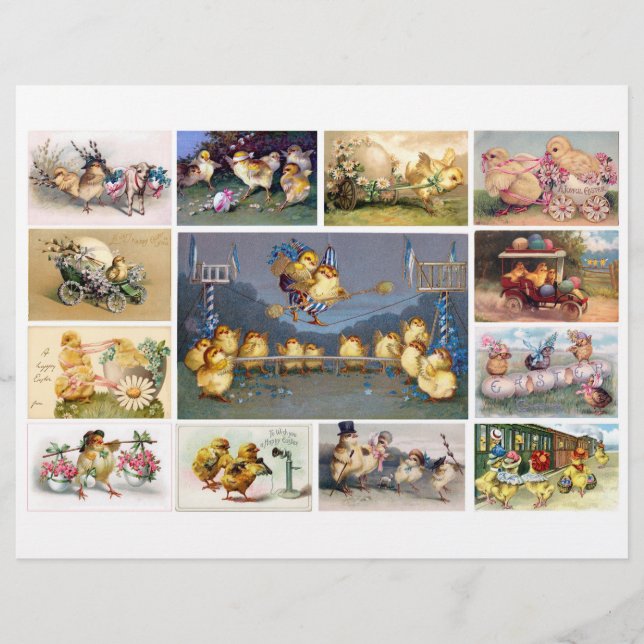An entertaining set of Easter Chick Postcards (Front)