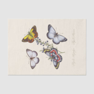 An Epitome of the Natural History of the Insects Tissue Paper