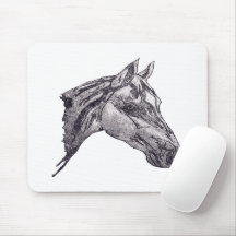 An equine beauty
