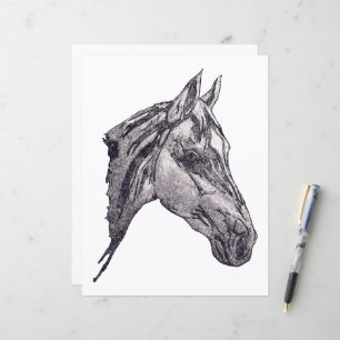 An equine beauty Paper