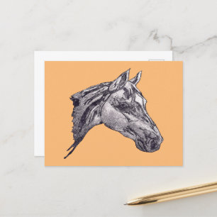An equine beauty postcard