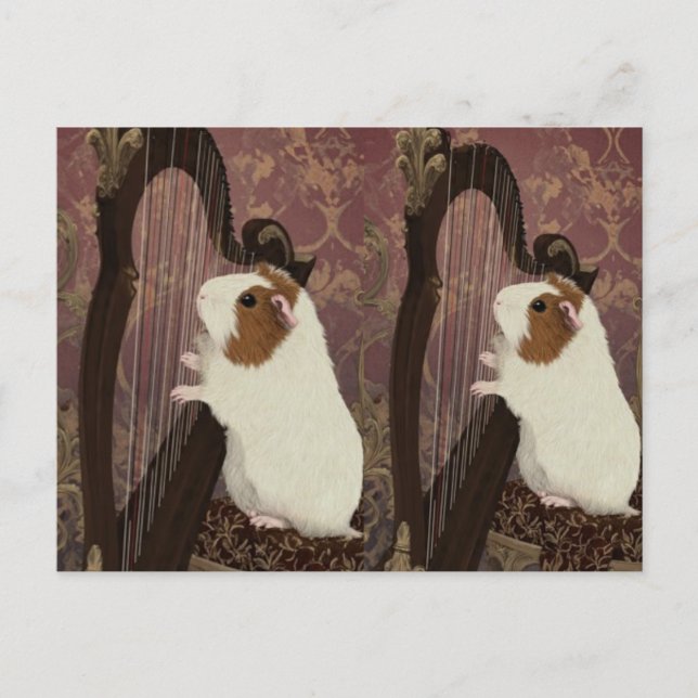 An Evening Recital – Artistic Guinea Pig Postcard (Front)
