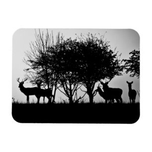 An image of some deer in the morning mist magnet