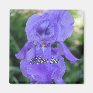 An Impish Iris Delicate Purple Dancer Magnet