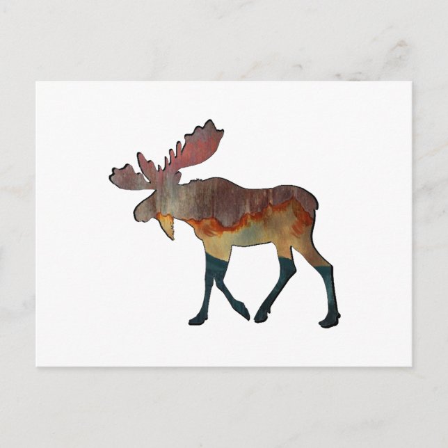 An Incredible Journey Postcard (Front)