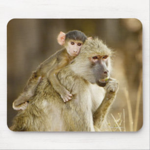 An infant Yellow Baboon(Papio Mouse Mat