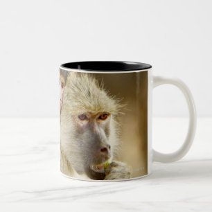 An infant Yellow Baboon(Papio Two-Tone Coffee Mug