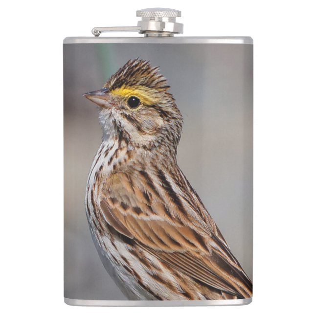 An Inquisitive Savannah Sparrow Hip Flask (Front)