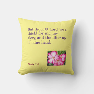 An Inspirational Throw Pillow