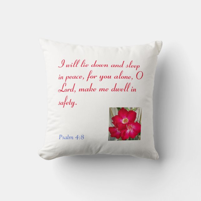 An Inspiring Throw Pillow (Front)