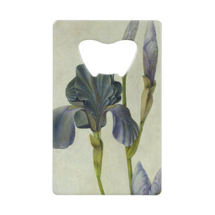 An Iris