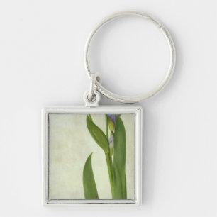 An Iris Key Ring