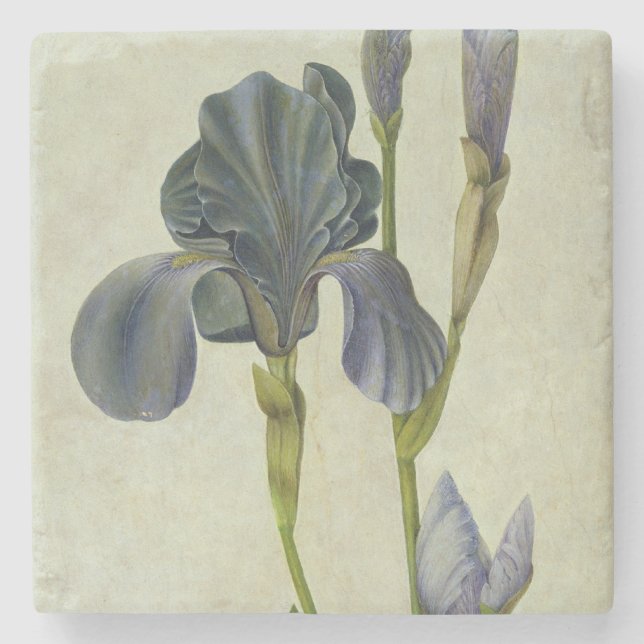 An Iris Stone Coaster (Front)