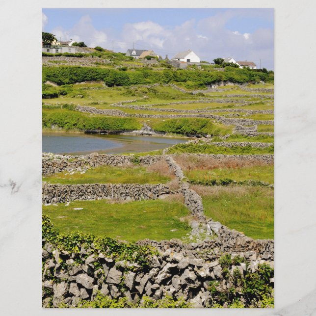 An Irish Stone Wall (Front)