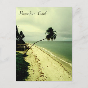 An island. Pernambuco, Brazil Postcard
