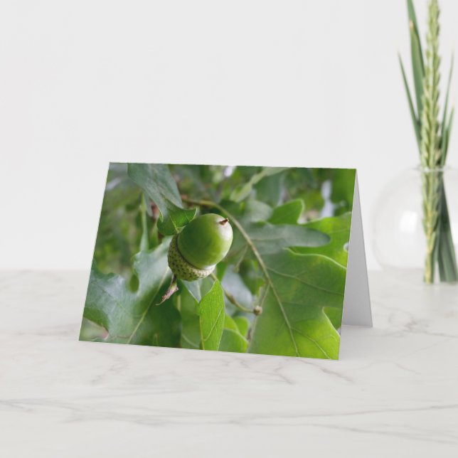 an oak fruit card (Front)