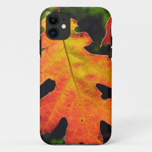 An Oak Leaf in Six Rivers National Forrest iPhone 11 Case