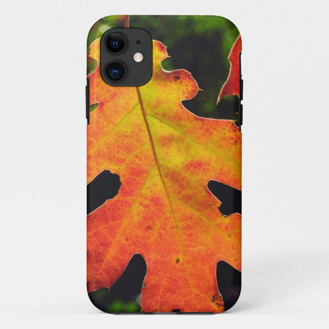 An Oak Leaf in Six Rivers National Forrest Case-Mate iPhone Case (Back)