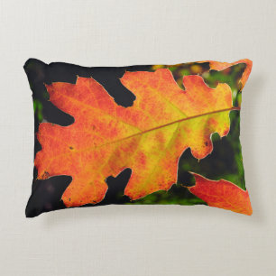 An Oak Leaf in Six Rivers National Forrest Decorative Cushion