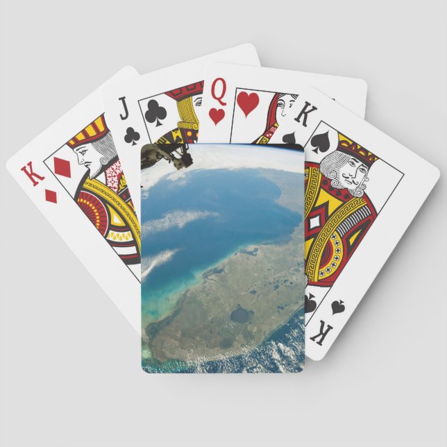An Oblique Florida, On The Southeastern Coast Playing Cards (Back)